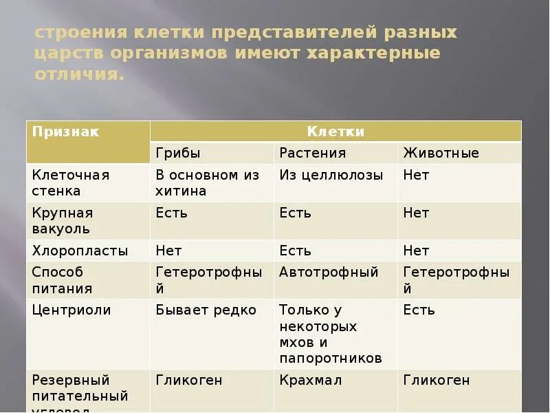 Сравнение клеток организмов. Сравнение клеток различных Царств таблица. Строение клеток разных Царств эукариот. Строение клеток различных Царств организмов. Строение клетки представителей разных Царств.