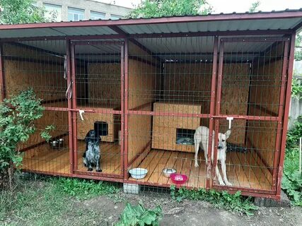 Передержка краснодар