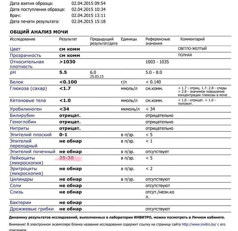 Сильно повышенные лейкоциты в моче. Лейкоциты в моче 10 WBC/ul. Лейкоциты в моче 250 норма у мужчин. Расшифровка анализа мочи лейкоциты 2- 1 1. Показатели лейкоцитов в моче норма у ребенка 7 лет.