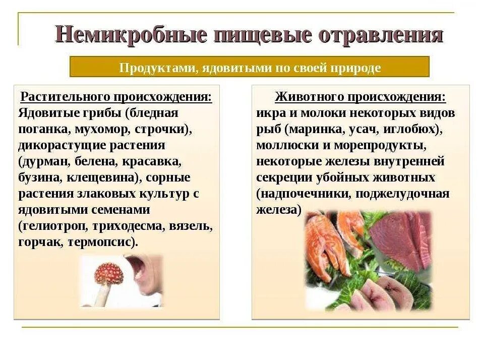 Отравление от тараканов симптомы