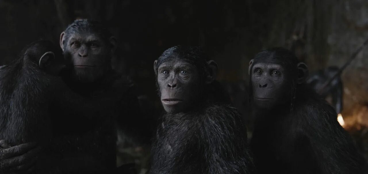 Maymunlar cehennemi full izle. Rise of the planet of the apes 2011 poster. Maymunlar cehennemi full izle. Maymunlar cehennemi full izle. Maymunlar cehennemi full izle.
