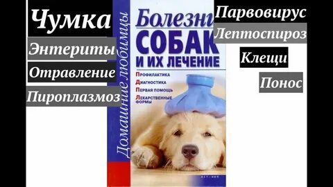 Парвовирус лечение