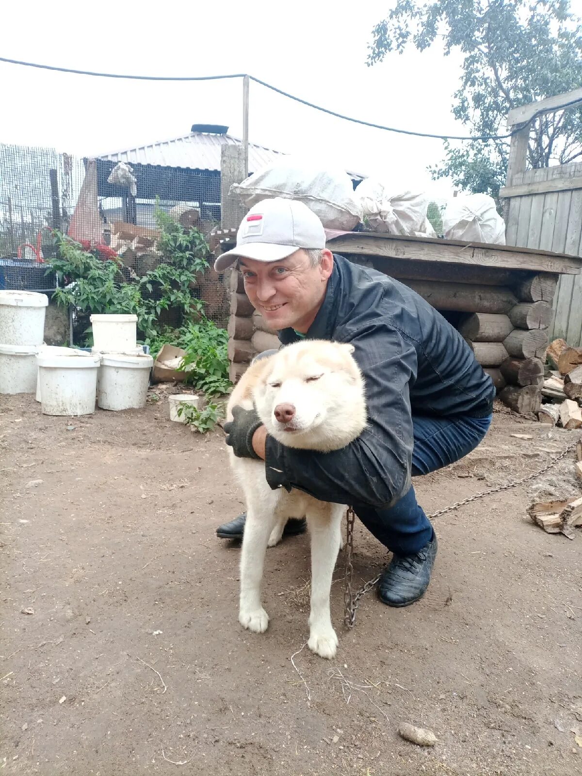 Приют новая жизнь бежецк. Приют новая жизнь бежецк. Приют новая жизнь бежецк. Приют беликовой смоленск. Приют бежецк.