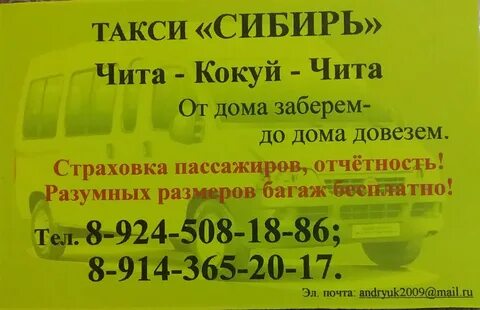 Номер муравья чита