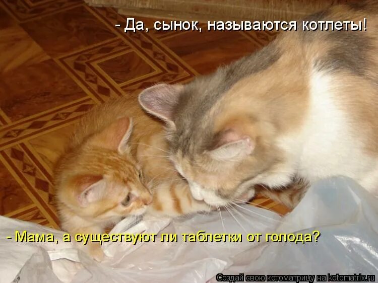 Не свой сын как называется. Не свой сын как называется