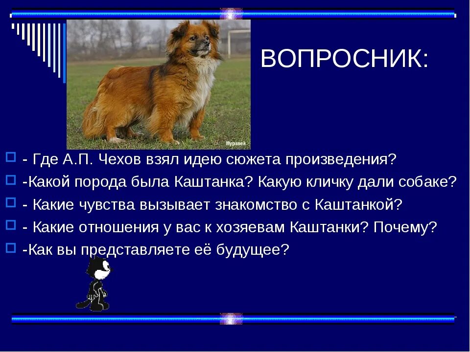 Чехов каштанка краткое содержание. Каштанка Чехов пересказ. А П Чехов каштанка краткое содержание. Произведение Чехова каштанка.