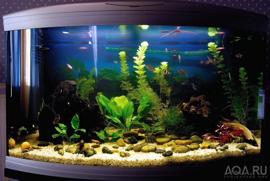 Как рассчитать грунт для аквариума. Объем воды в аквариуме. Сколько грунта нужно в аквариум 50 литров. Грунт для аквариумных растений. Толщина стекла для аквариума таблица.