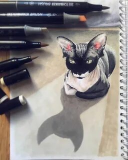 Нарисовать котика маркерами