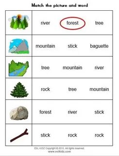 Forest school 7 grade plan