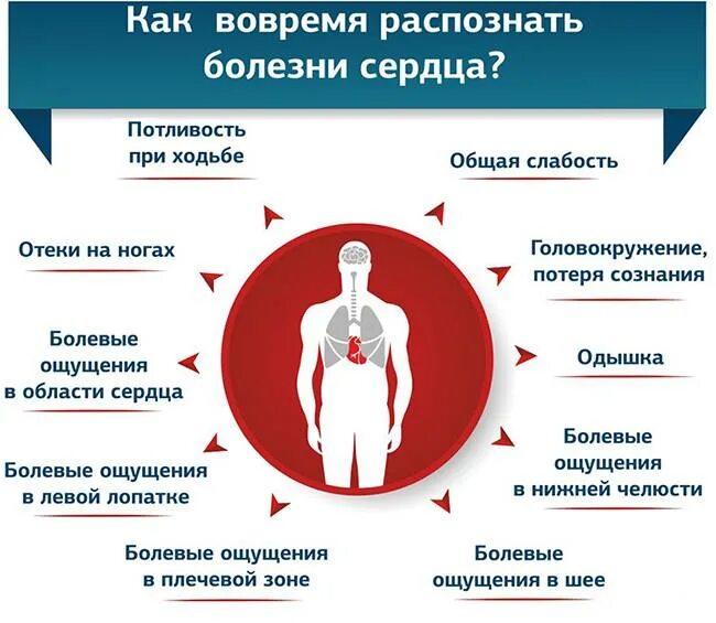 Проблемы с сердцем анализы