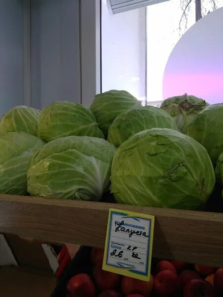 Капуста покупочка. Капуста свежая. Капуста ценник. Капуста в магазине. Капуста кг стоит.