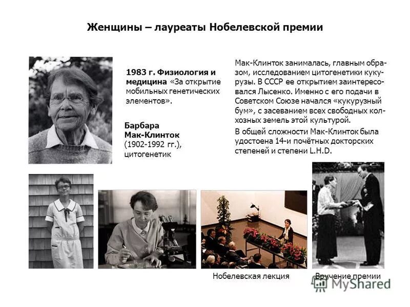 Нобелевские лауреаты. Женщины Нобелевские лауреаты. Лауреаты Нобелевской премии по биологии. Женщины Нобелевские лауреаты по физике. Школа нобелевских лауреатов