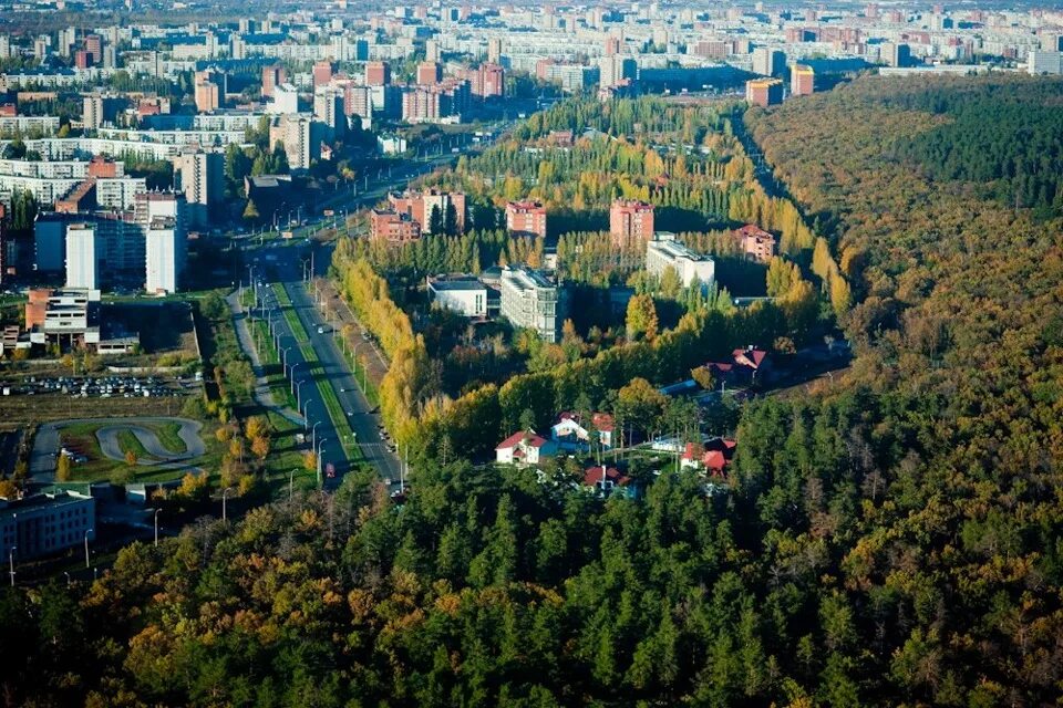 Город леса нн. Сосновый лес кулицкая. Памятник природы стригинский бор. Баринова роща гусь хрустальный лес. Город леса нн.