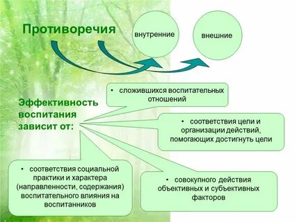 Внутренние противоречия являются противоречия между