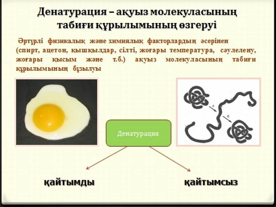 Денатурация белка реакция. Химические механизмы денатурации белков. Белки. Денатурация и ренатурация белка кратко. Денатурация белка 10 класс.