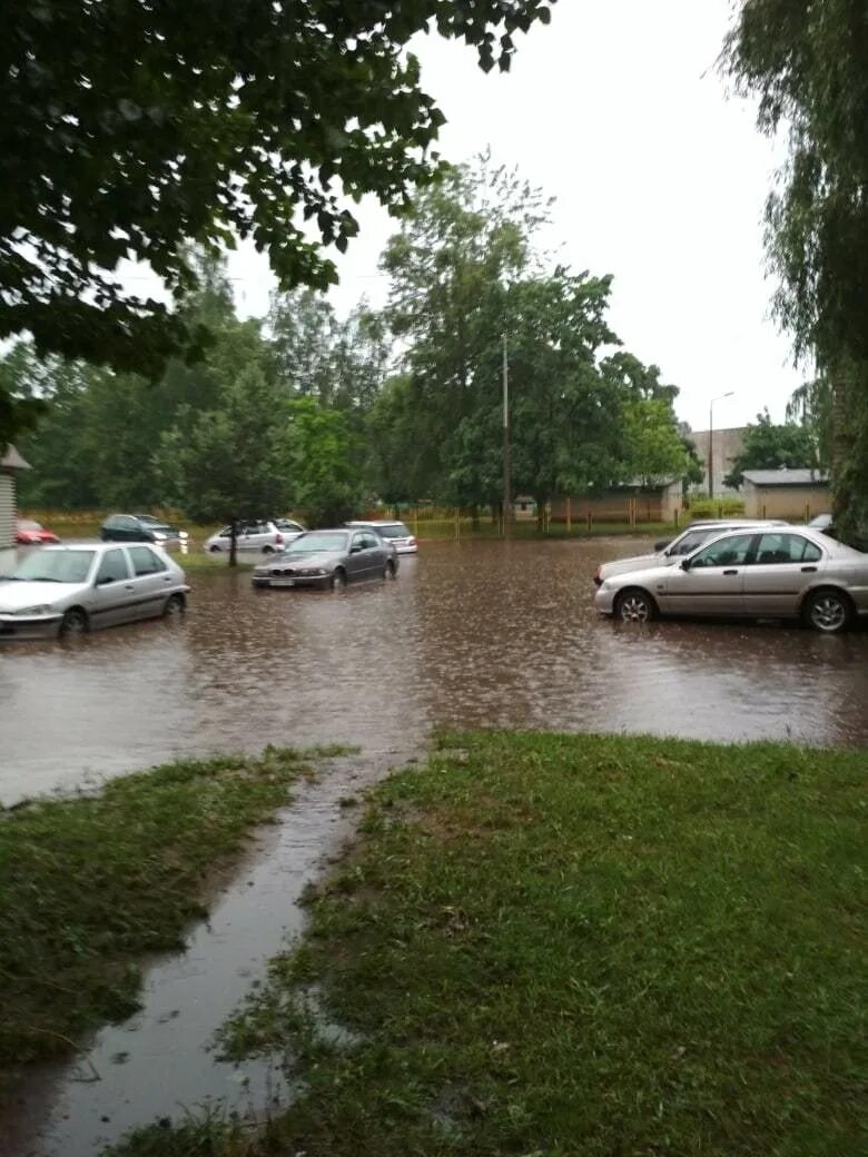Ливень в Могилеве вчера. Как выглядит ливень. Добруш потоп сегодня. Дождь в Белоруссии.