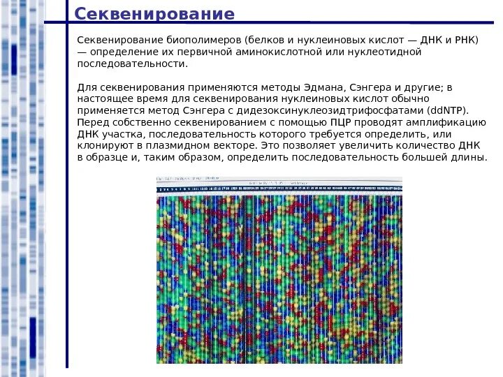 Секвенирование какой метод. Секвенирование какой метод. Секвенирование генома человека. Секвенирование днк метод сэнгера. Секвенирование по максаму-гилберту.