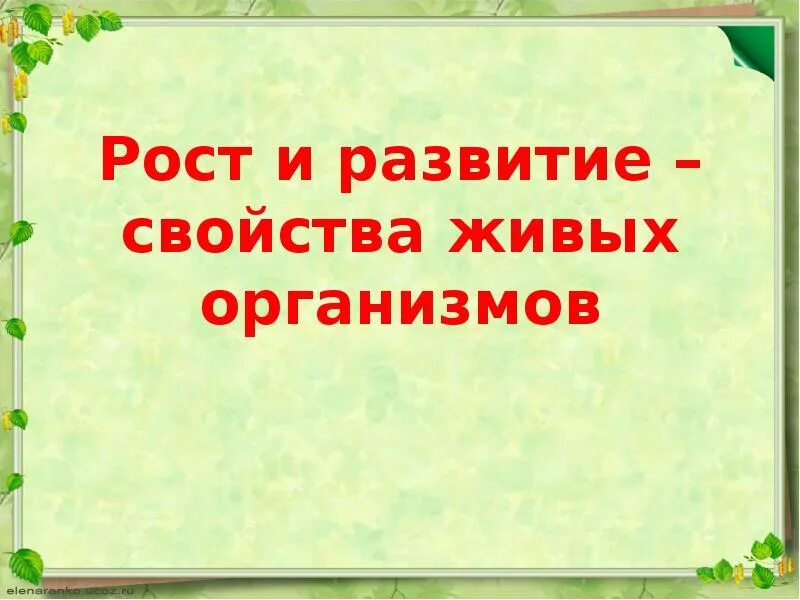 Рост и развитие свойства живых организмов. Рост и развитие свойства живых организмов 6 класс. Рост и развитие живых организмов презентация. Рост свойство живого.