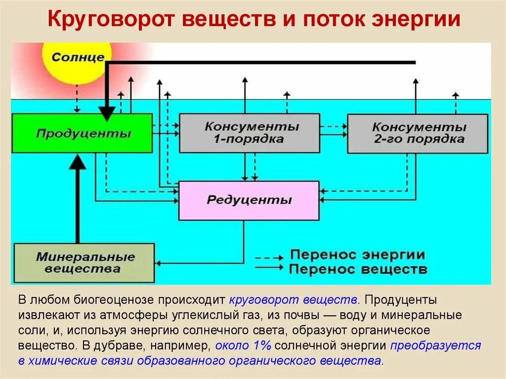 Поток энергии в биогеоценозе схема. Круговорот веществ и энергии. Круговорот веществ и поток энергии в экосистеме. Круговорот энергии схема. Цепочка биологического круговорота