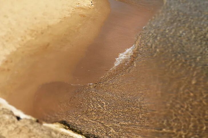 Free Images : beach, nature, rock, sunlight, texture, leaf, wave, wildlife, unde