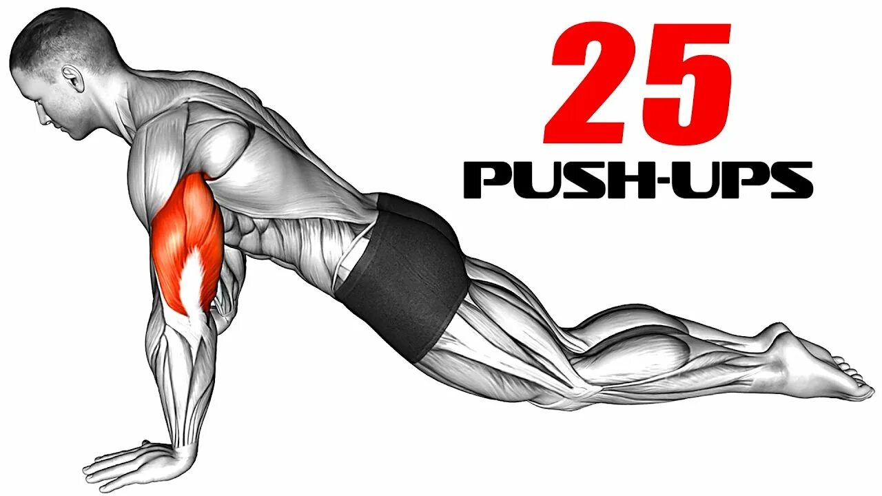 Push up techno. Push ups. types of push ups. types of pushups. push up exercise.