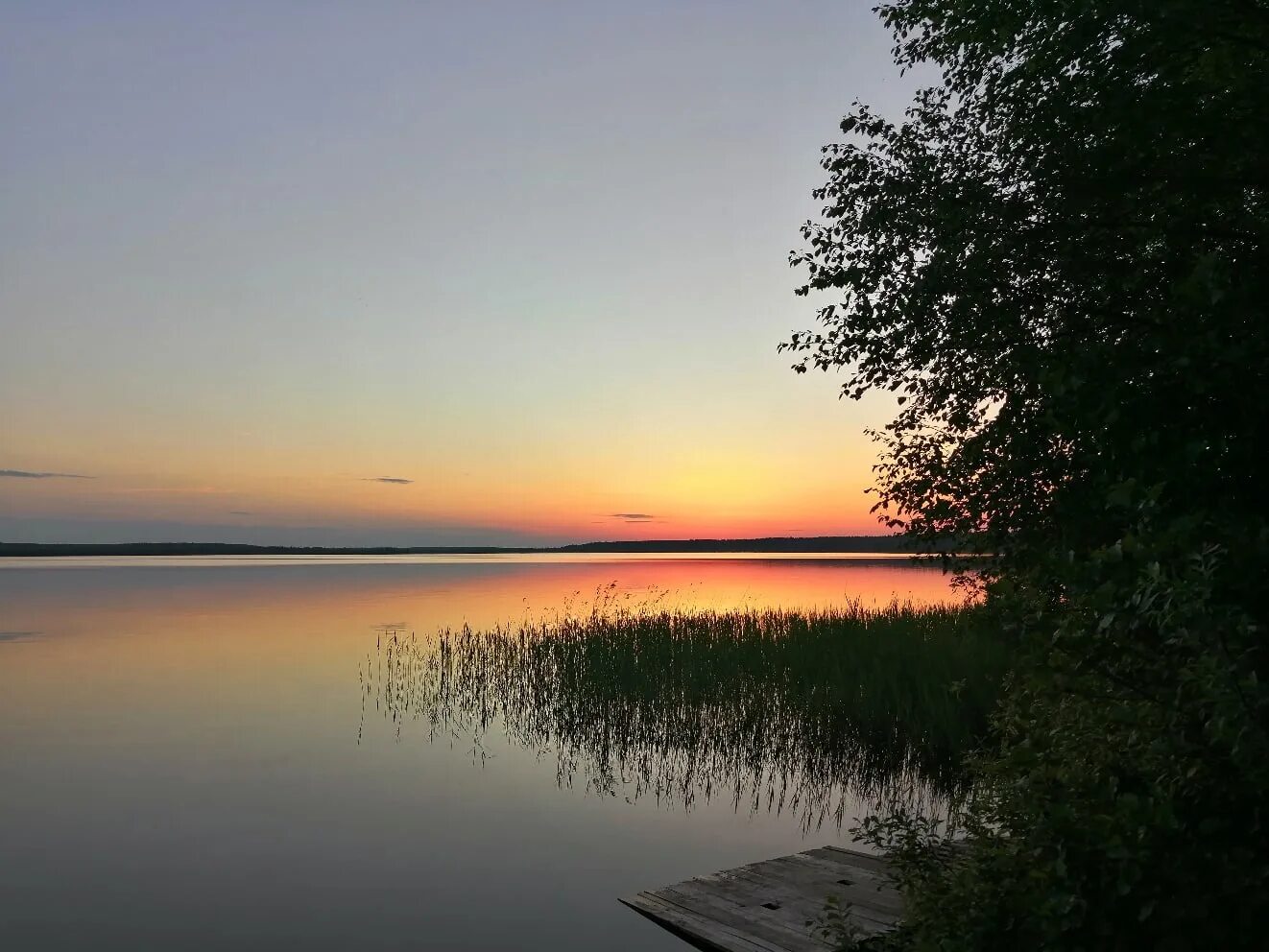 Чайка Рубское озеро. Рубское пляж. Рубское водохранилище. Рубское озеро ивановская