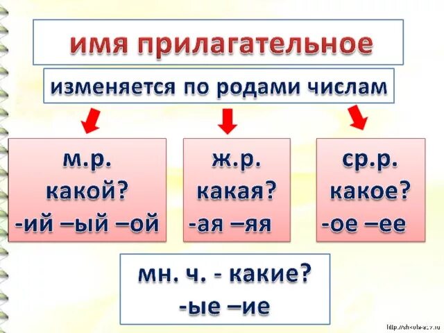 Части речи имя прилагательное 2 класс. Имя прилагательное как часть речи 4 класс. Имена прилагательные 4 класс. Имя прилагательнг.