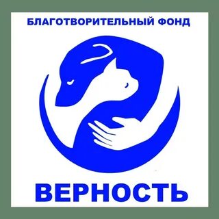 Благотворительный фонд зои шумиловой помощи животным