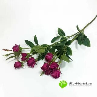 Как называется розы на ветке