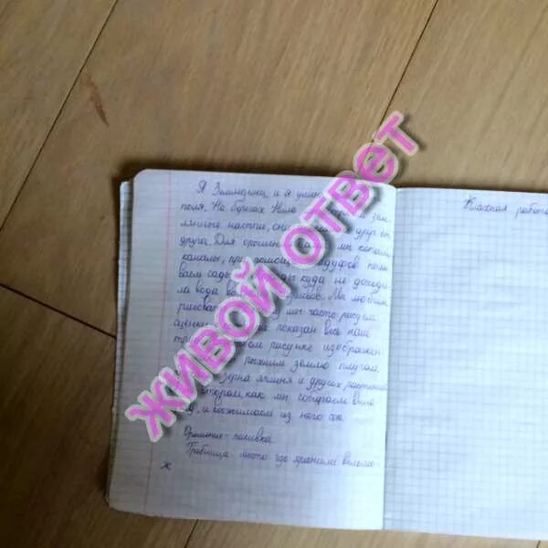 Составить от имени земледельца. Как жили земледельцы. 1 день из жизни земледелия в египте в древнем. Рассказ о имени земледельца как прошел. Составить от имени земледельца как прошёл его день.