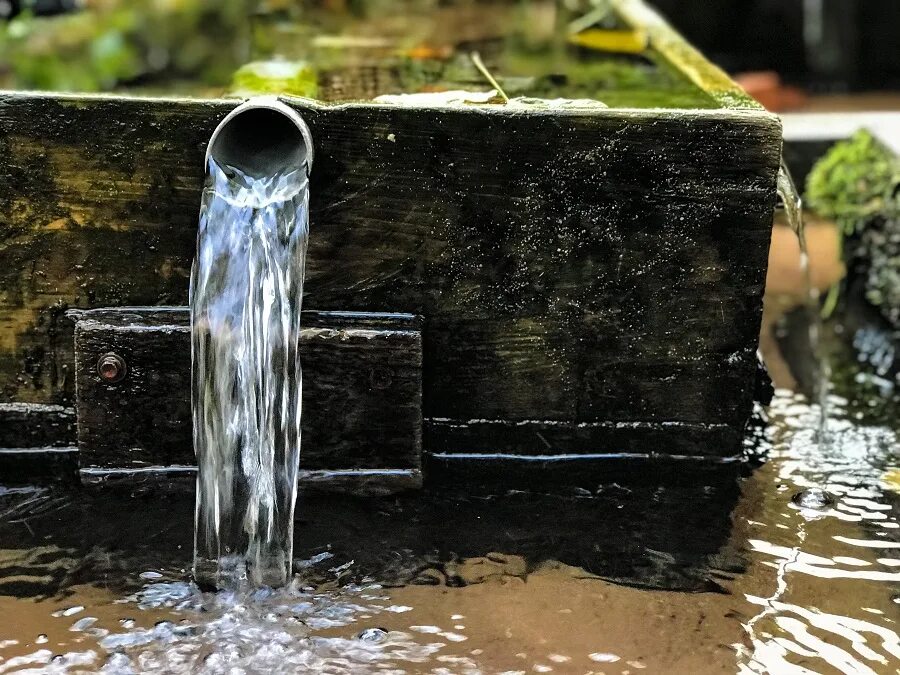 Родники Ленинградской области. Родниковая вода. Картина родниковой воды. Чистый Родник.