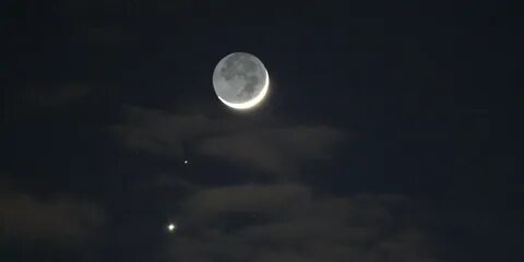 Laris moon