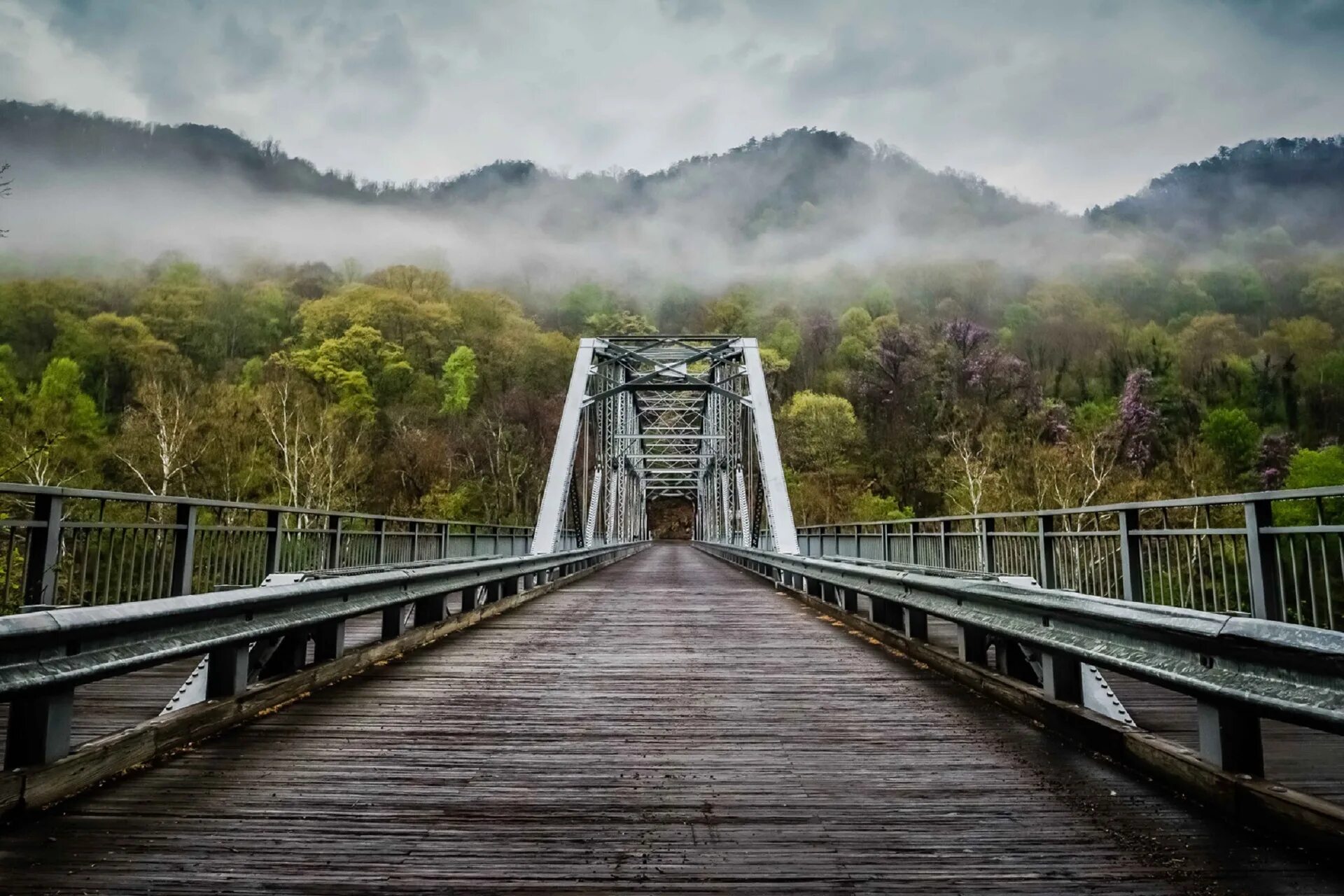 Западная Вирджиния мост. Мост New River gorge. Нью-Ривер-Гордж. Западная Вирджиния лес мост.