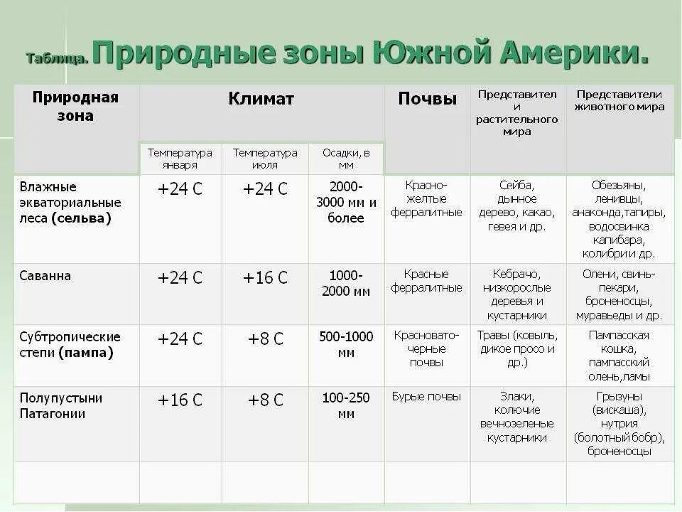 Природные зоны Южной Америки таблица 7 климатический пояс. Природные зоны Южной Америки таблица природная зона. Характеристика природных зон Южной Америки таблица. Характеристика природных зон таблица 7 класс география. Мерки природно географические