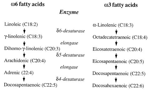 Fatty acids
