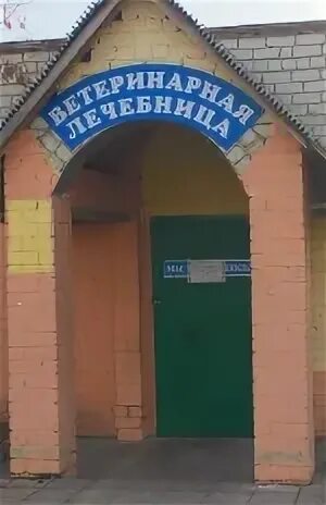 Ветеринар на таманской ейск. Ветаптека село донское ставропольский край. Апшеронск ветеринарная. Апшеронск ветеринарная. Апшеронск ветеринарная.