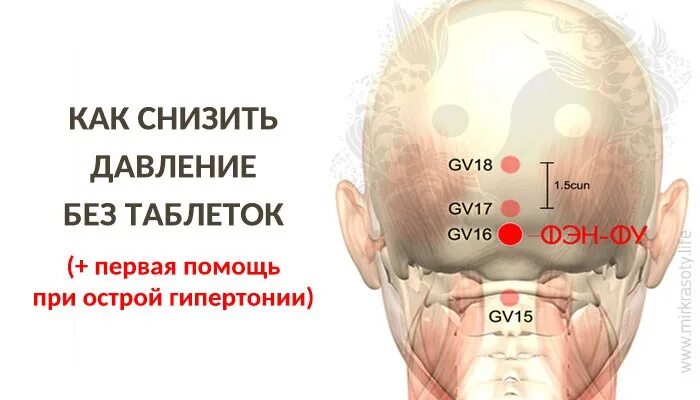 Как сбить давление у человека. Как снизить давление. как понизить давление. понизить давление без лекарств. что снижает давление без таблеток.