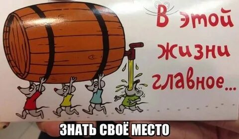 Главное найти свое место в жизни