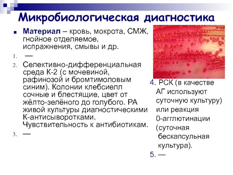 Чем лечить клебсиеллу