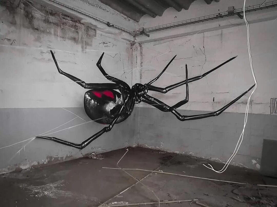 Паук хамелеон. Большой паук на стене. Самый большой паук на стене. Большой гигантский паук на всю стену. Гигантский паук на стене здания.