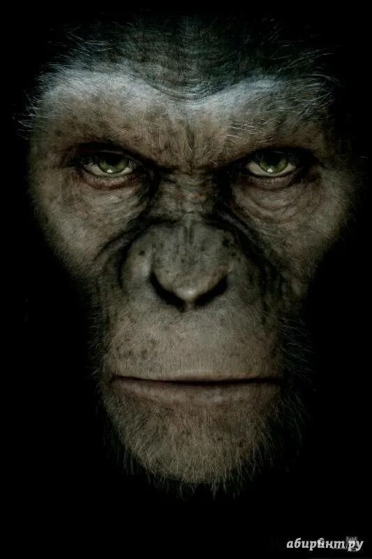 Rise planet apes. Rise of the planet of the apes 2011 poster. dawn of the planet of the apes.