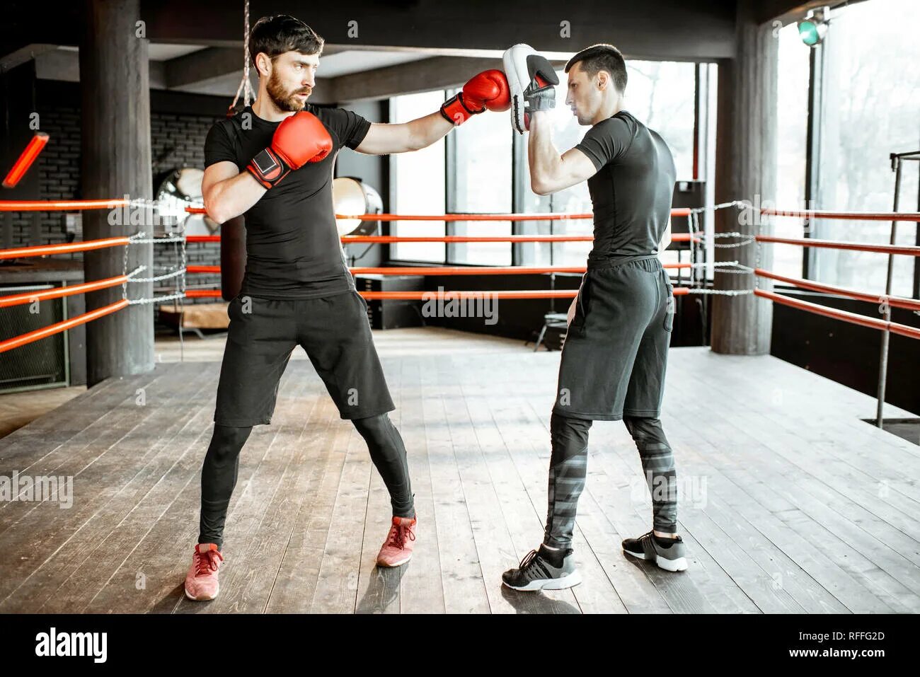 How to fight 218. Бокс с низким ростом. how to fight. бокс с гемами. how to fight обои.