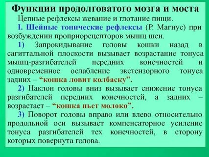Характеристика рефлексов продолговатого мозга