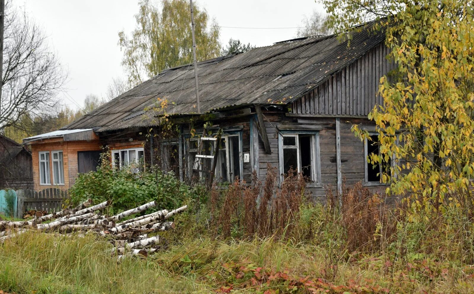 Д н березово. Березово юрьянского района. д. сусловы кировская область юрьянский район. березово юрьянский район кировская область. деревня великая юрьянский район.