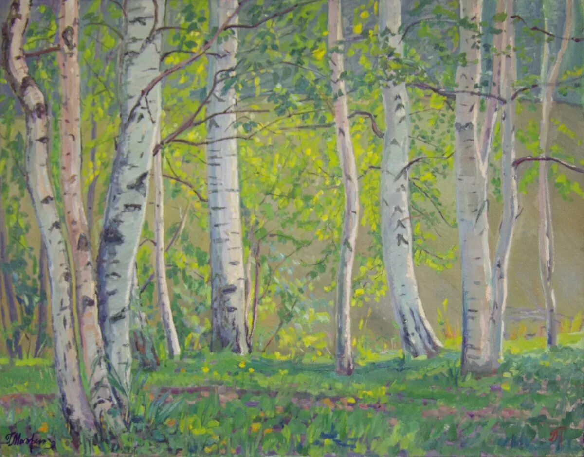 Береза рисунок. Пейзаж с березами цветными карандашами. Береза красками. Березовая роща рисунок карандашом. Пейзаж Березовая роща гуашью.