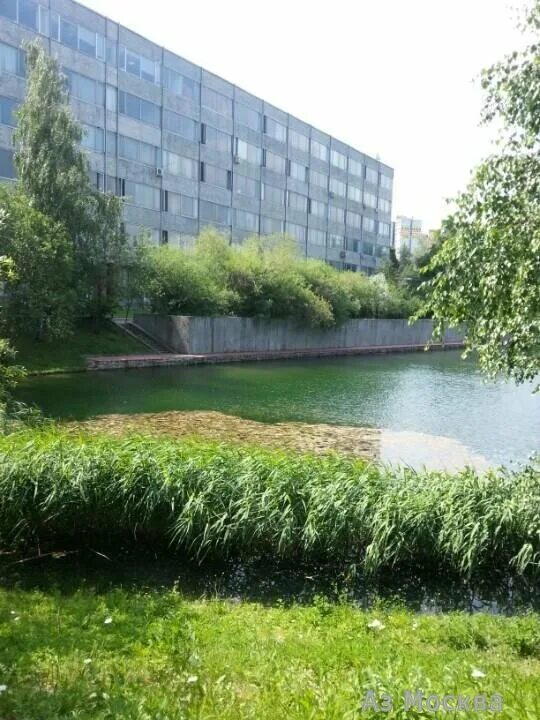 Профсоюзная 65 ипу ран. Харкевича ран. А. 102 детский сад рязань. Ул профсоюзная институт трапезникова.