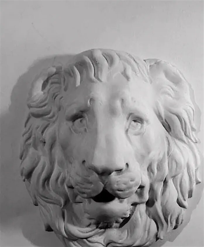 Барельеф медведь. Маска льва гипс. Маскарон льва академический. Гипсовый лев. Лапы льва из гипса.