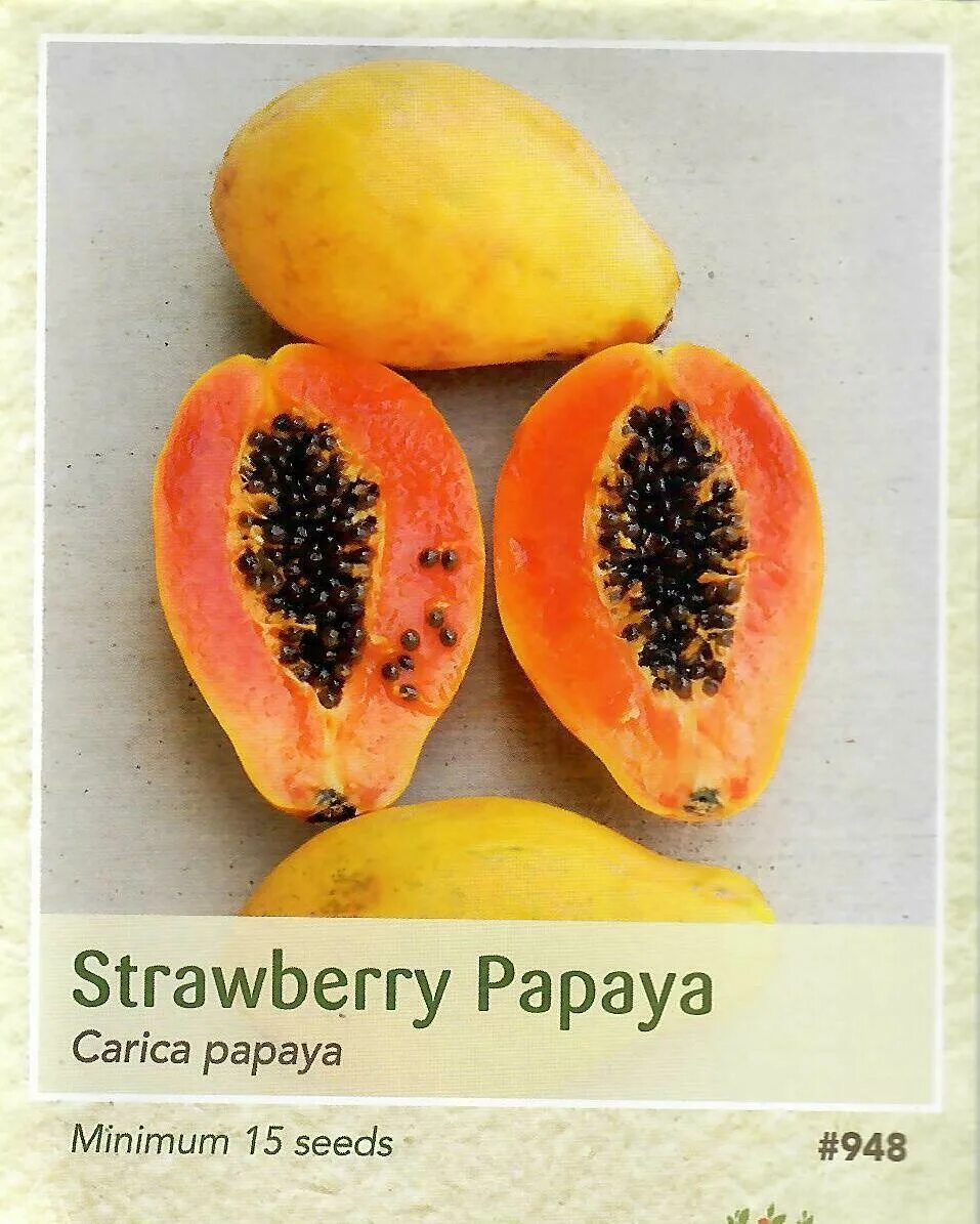 Оранжевый фрукт с черными. Папайя Стравберри. Папайя (carica Papaya). Тропик фрукты папайя. Тропические фруктыпапайа семечки.