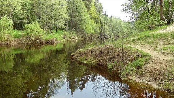 Река лапка