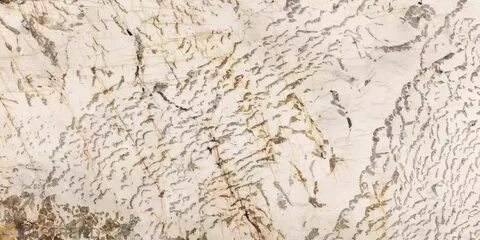 Blanc du blanc